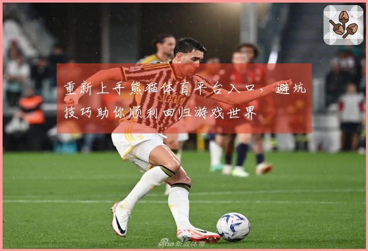 重新上手熊猫体育平台入口，避坑技巧助你顺利回归游戏世界